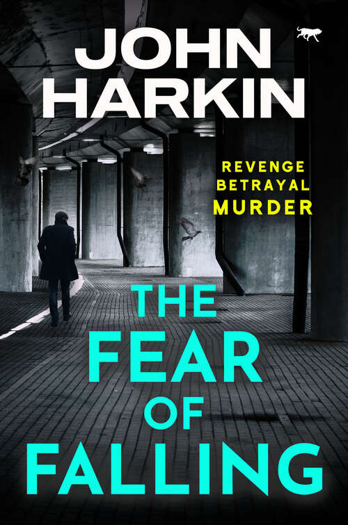 Book cover of The Fear of Falling (The DI Kidston Crime Thrillers)