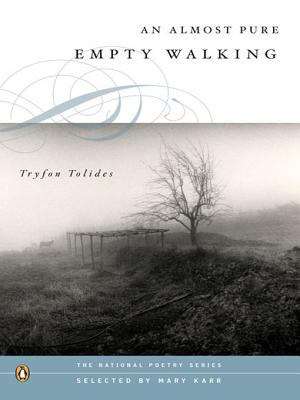 Book cover of An Almost Pure Empty Walking