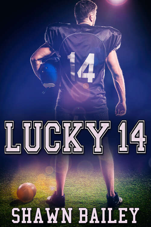 Book cover of Lucky 14