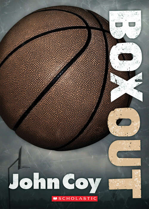 Book cover of Box Out