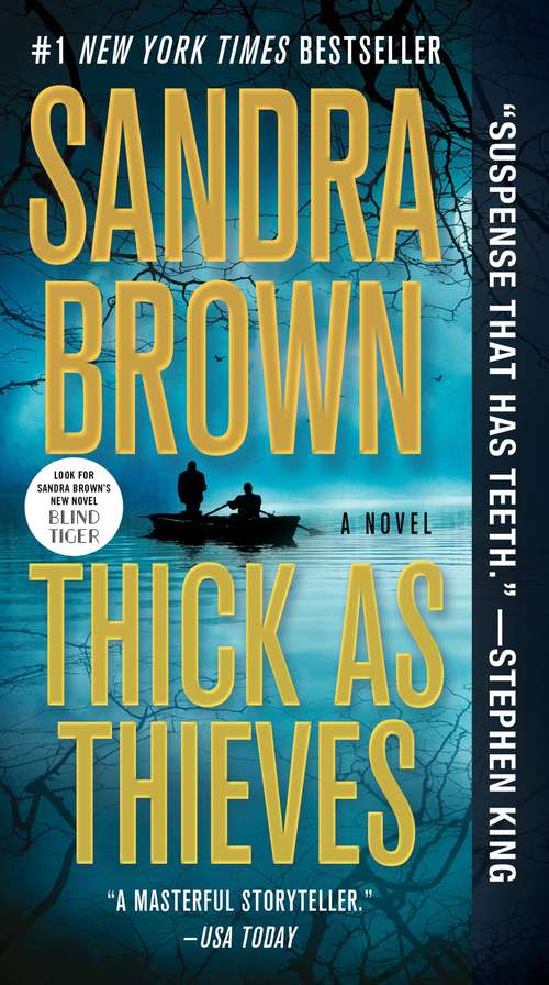 Book cover of Thick as Thieves