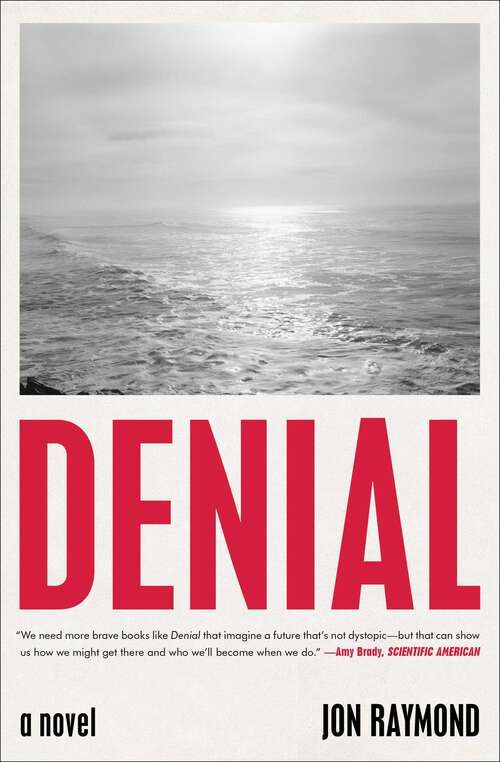 Book cover of Denial: A Novel