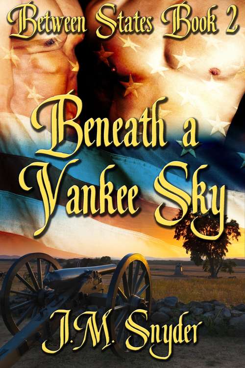 Book cover of Beneath a Yankee Sky (Between States #2)