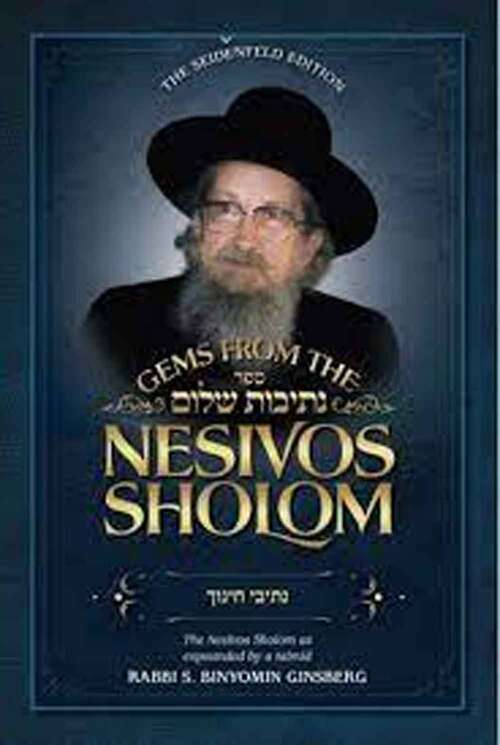 Book cover of Gems From The Nesivos Shalom Nesivei Chinuch