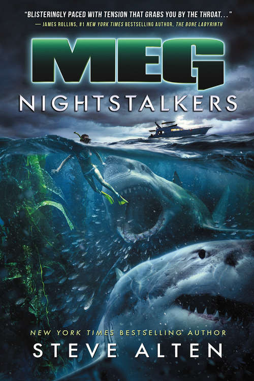 Book cover of MEG: Nightstalkers (MEG #5)