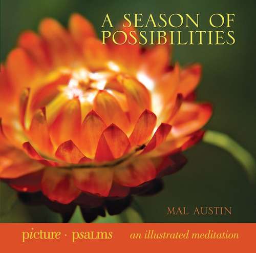 Book cover of A Season of Possibilities