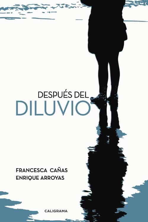 Book cover of Después del diluvio