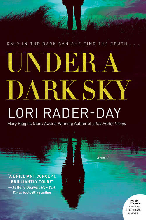 Book cover of Under a Dark Sky: A Novel
