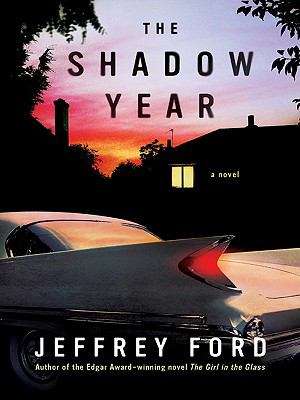 Book cover of The Shadow Year: A Novel