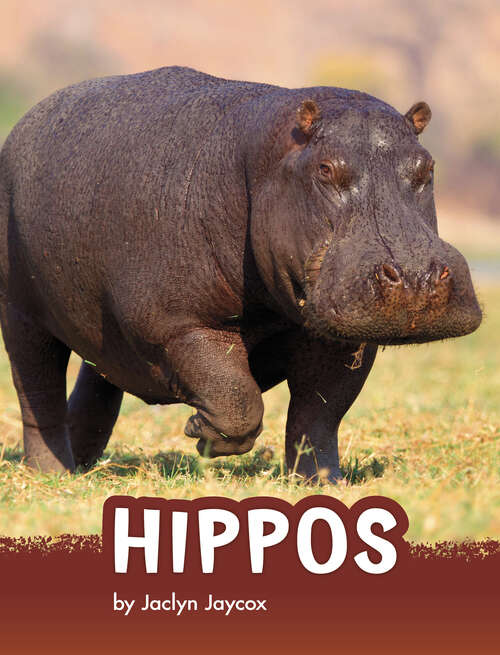 Book cover of Hippos (Animals)