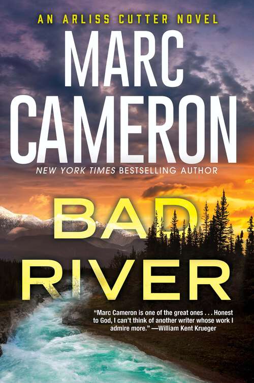 Book cover of Bad River (An Arliss Cutter Novel #6)