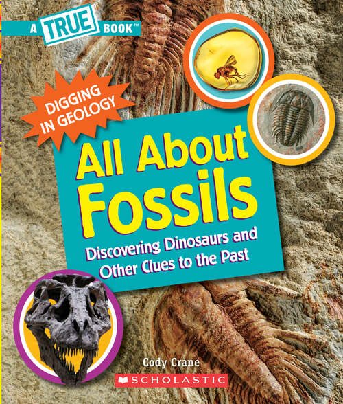 Book cover of All About Fossils: Discovering Dinosaurs And Other Clues To The Past (A True Book (Relaunch))