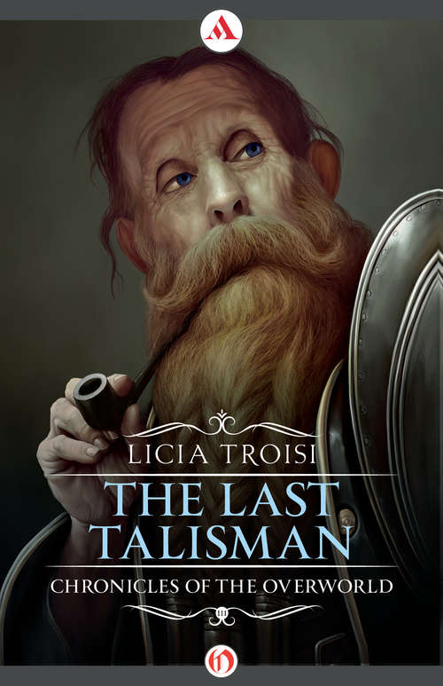 Book cover of The Last Talisman