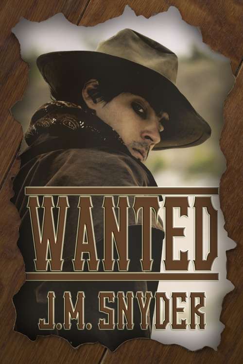 Book cover of Wanted