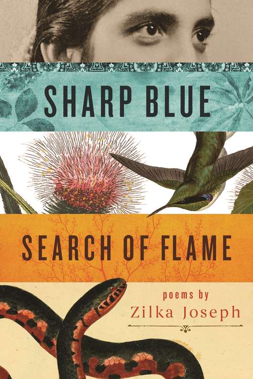 Book cover of Sharp Blue Search of Flame (Made in Michigan Writers Series)