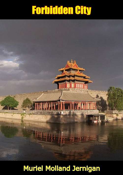 Book cover of Forbidden City