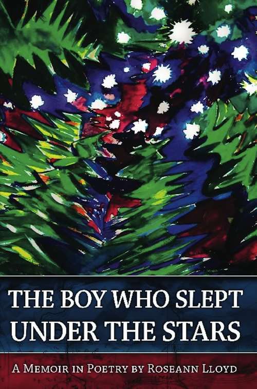 Book cover of The Boy Who Slept Under the Stars