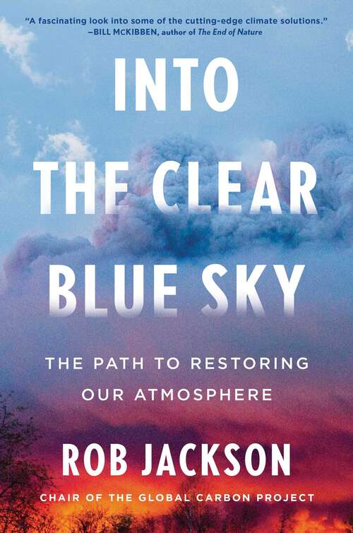 Book cover of Into the Clear Blue Sky: The Path to Restoring Our Atmosphere