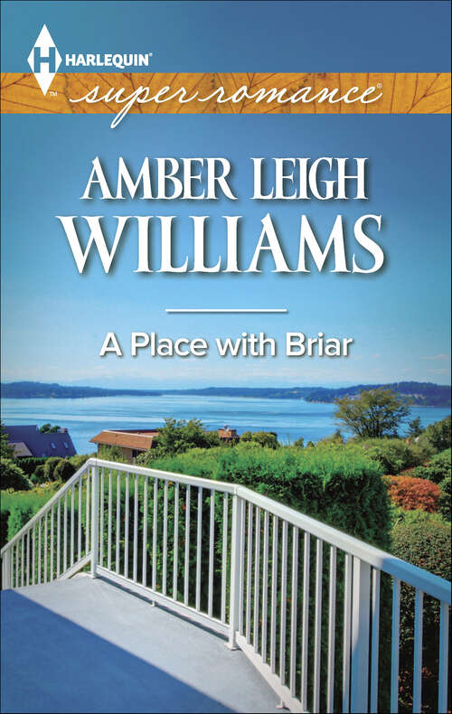 Book cover of A Place with Briar