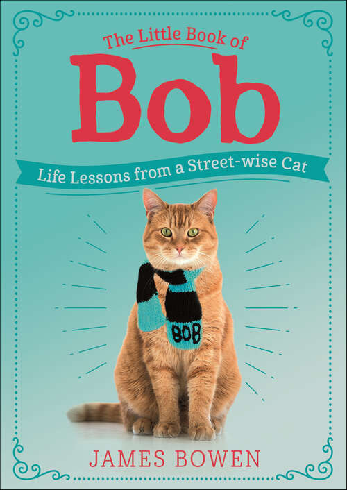 Book cover of The Little Book of Bob: Life Lessons from a Street-wise Cat