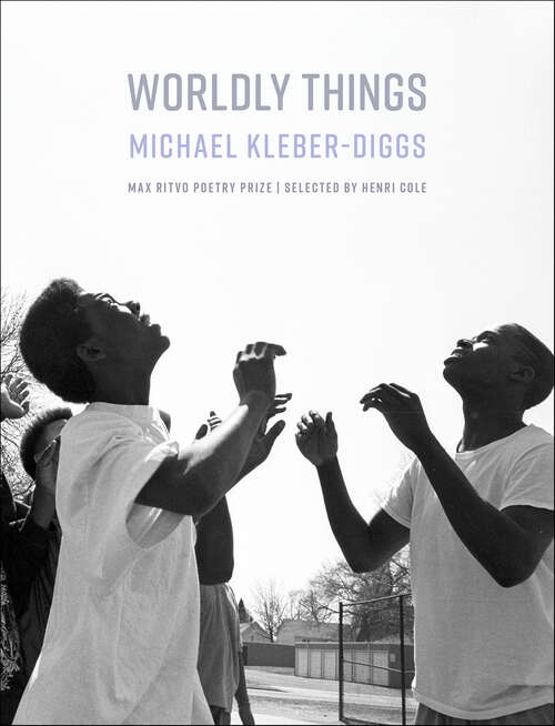 Book cover of Worldly Things