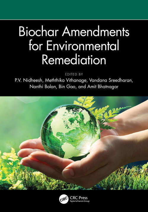 Book cover of Biochar Amendments for Environmental Remediation