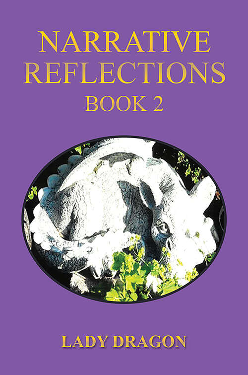 Book cover of Narrative Reflections – Book 2