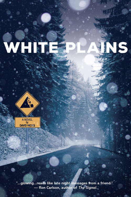 Book cover of White Plains: A Novel