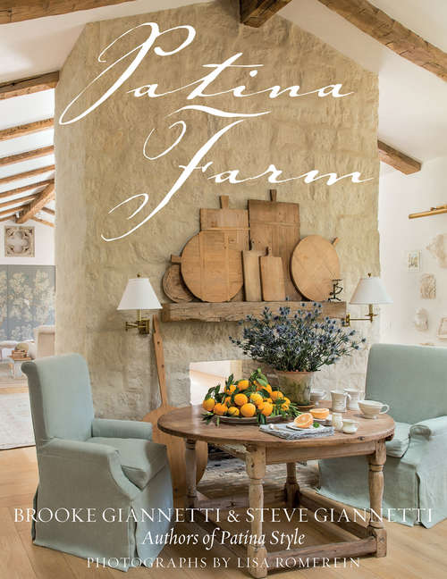 Book cover of Patina Farm