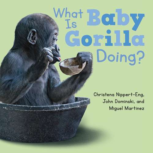 Book cover of What Is Baby Gorilla Doing?