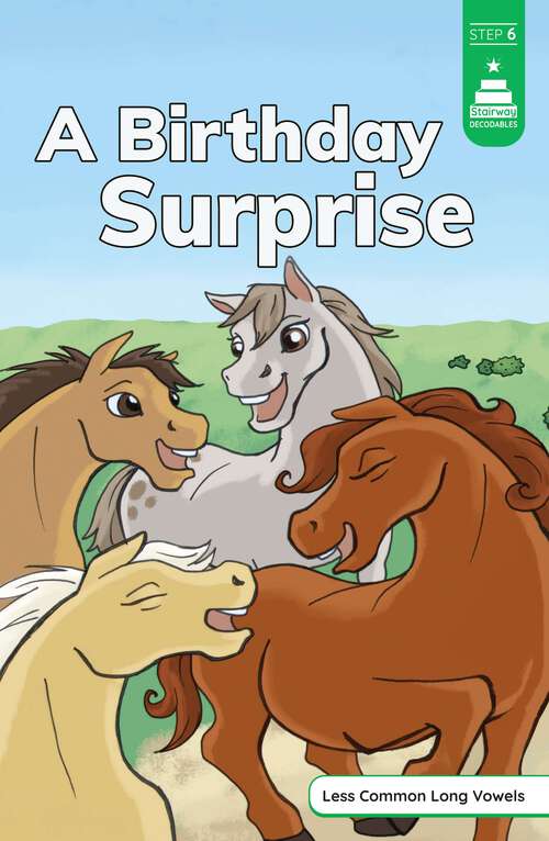 Book cover of A Birthday Surprise (Stairway Decodables Step 6 Ser.)