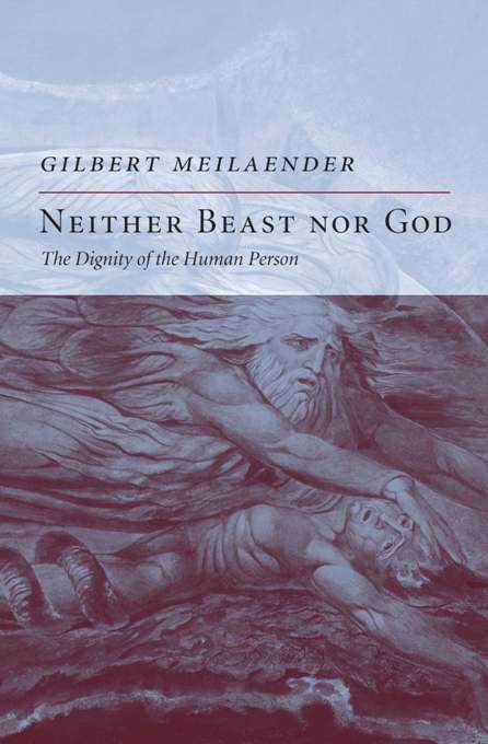 Book cover of Neither Beast Nor God