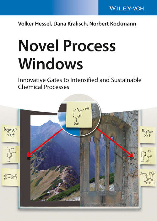 Book cover of Novel Process Windows