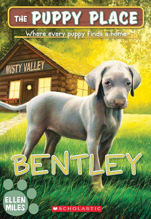 Book cover of Bentley (The Puppy Place #53)