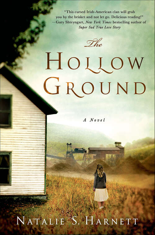 Book cover of The Hollow Ground: A Novel