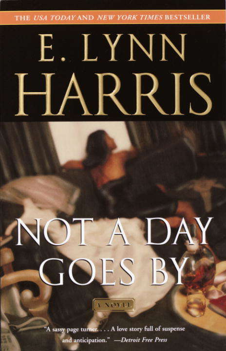 Book cover of Not a Day Goes By
