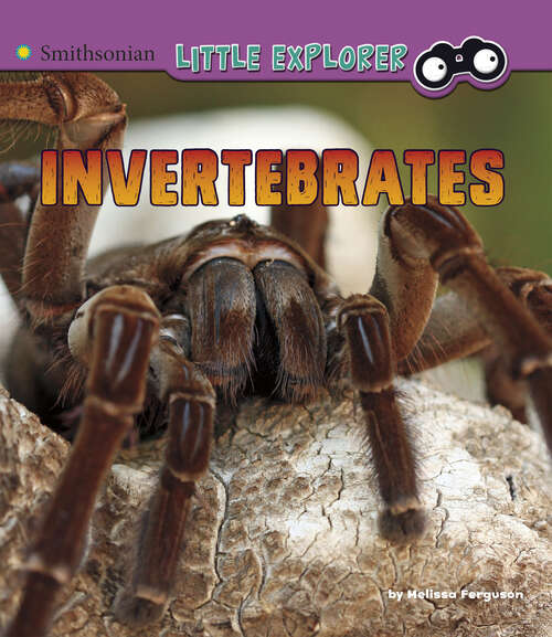Book cover of Invertebrates: A 4d Book (Little Zoologist Ser.)