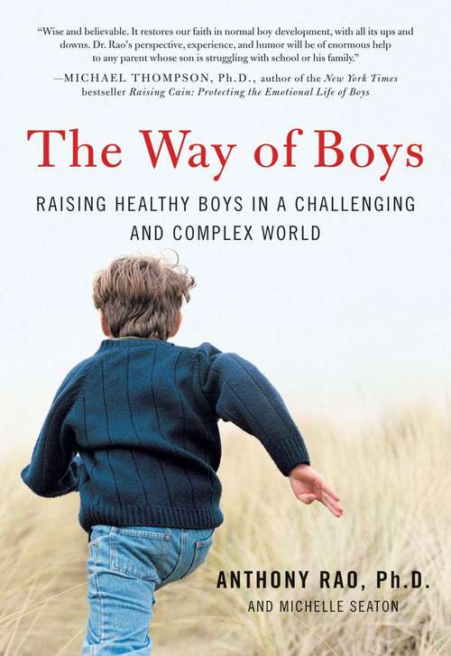 Book cover of The Way of Boys