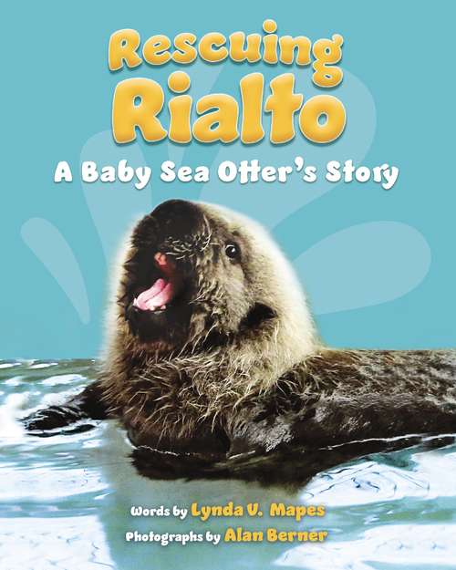 Book cover of Rescuing Rialto: A Baby Sea Otter's Story