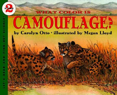 Book cover of What Color Is Camouflage?