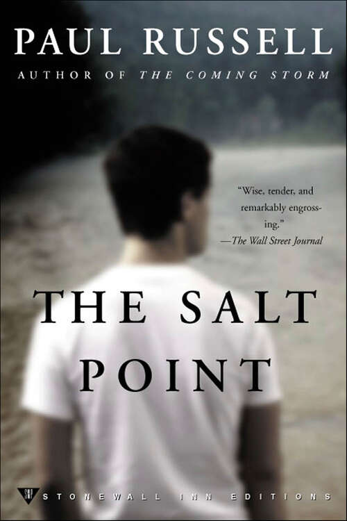 Book cover of The Salt Point: A Novel