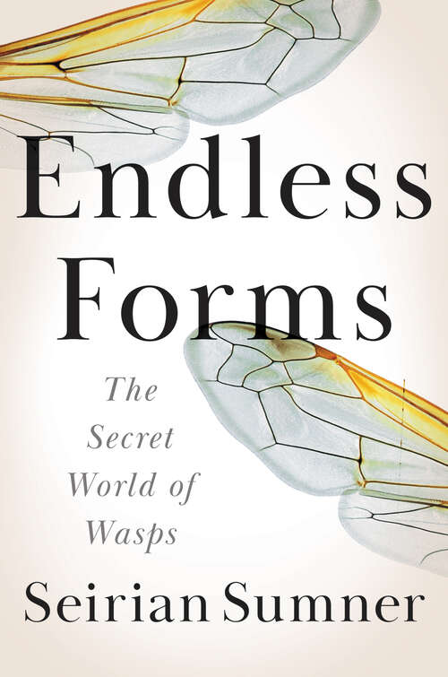 Book cover of Endless Forms: The Secret World of Wasps