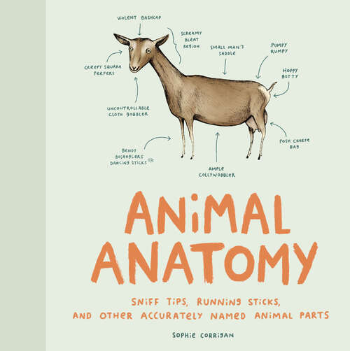 Book cover of Animal Anatomy: Sniff Tips, Running Sticks, and Other Accurately Named Animal Parts