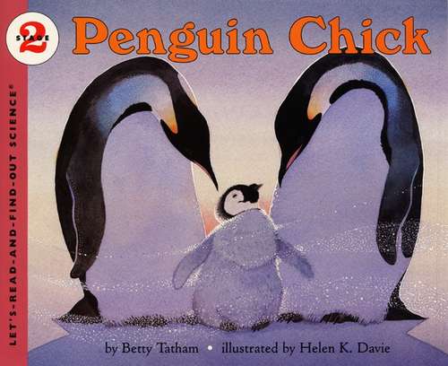 Book cover of Penguin Chick