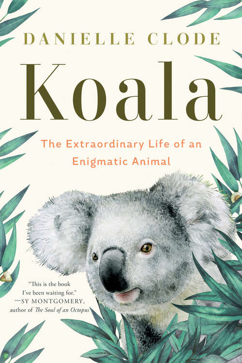 Book cover of Koala: A Natural History And An Uncertain Future