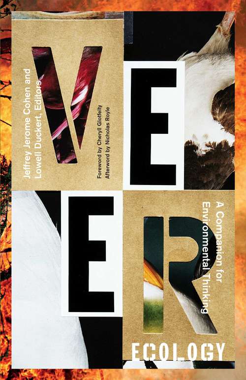 Book cover of Veer Ecology: A Companion for Environmental Thinking