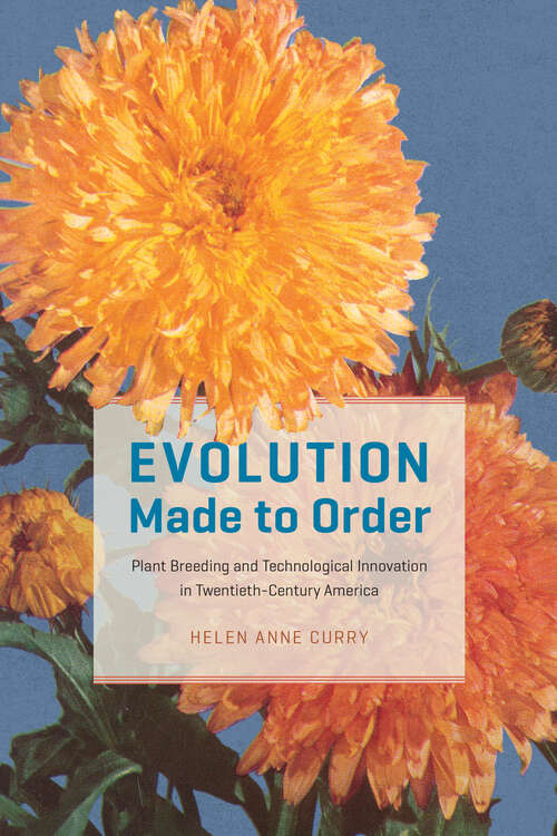 Book cover of Evolution Made to Order: Plant Breeding and Technological Innovation in Twentieth-Century America