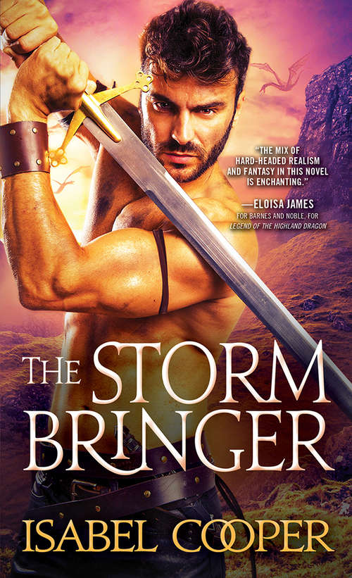 Book cover of The Stormbringer (Stormbringer #1)