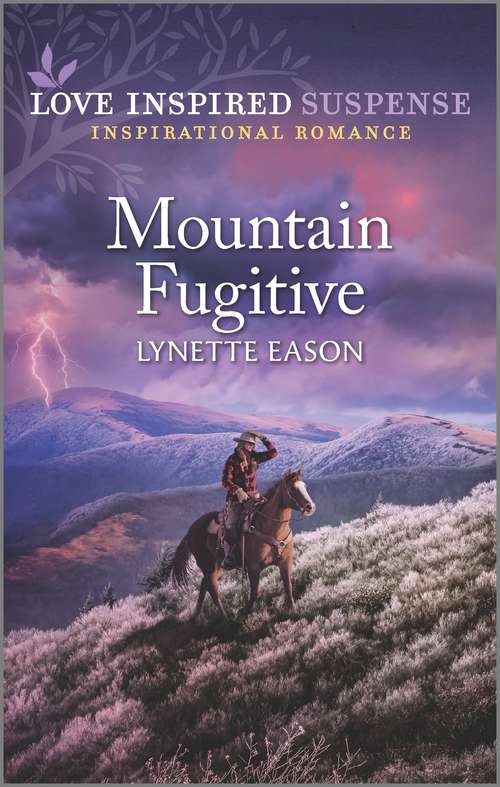 Book cover of Mountain Fugitive (Original)