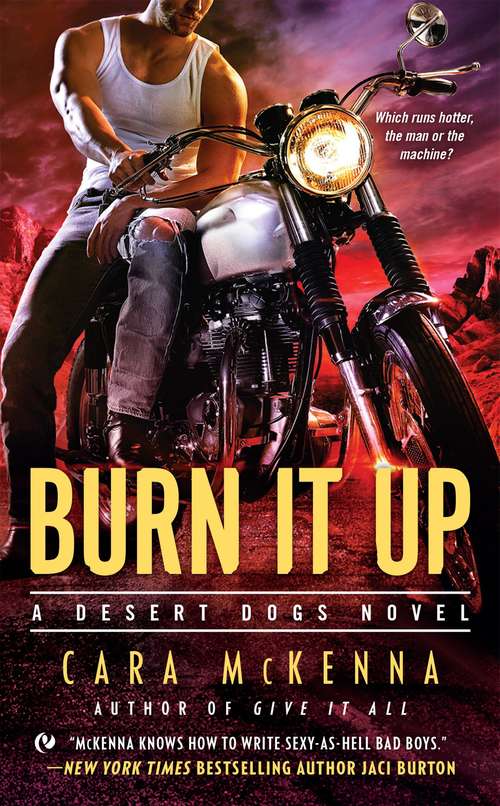 Book cover of Burn It Up